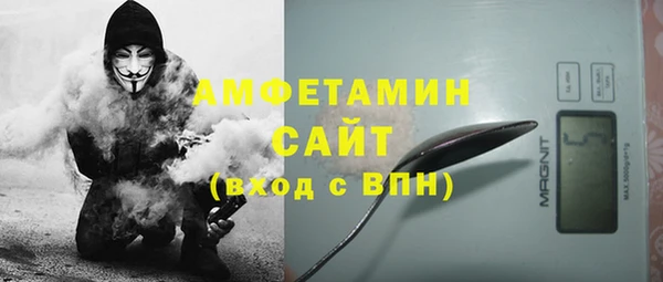 шишки Бородино